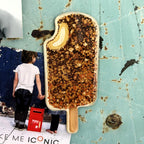 Golden Gaytime Magnet