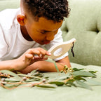 Leaf Magnifying Glass